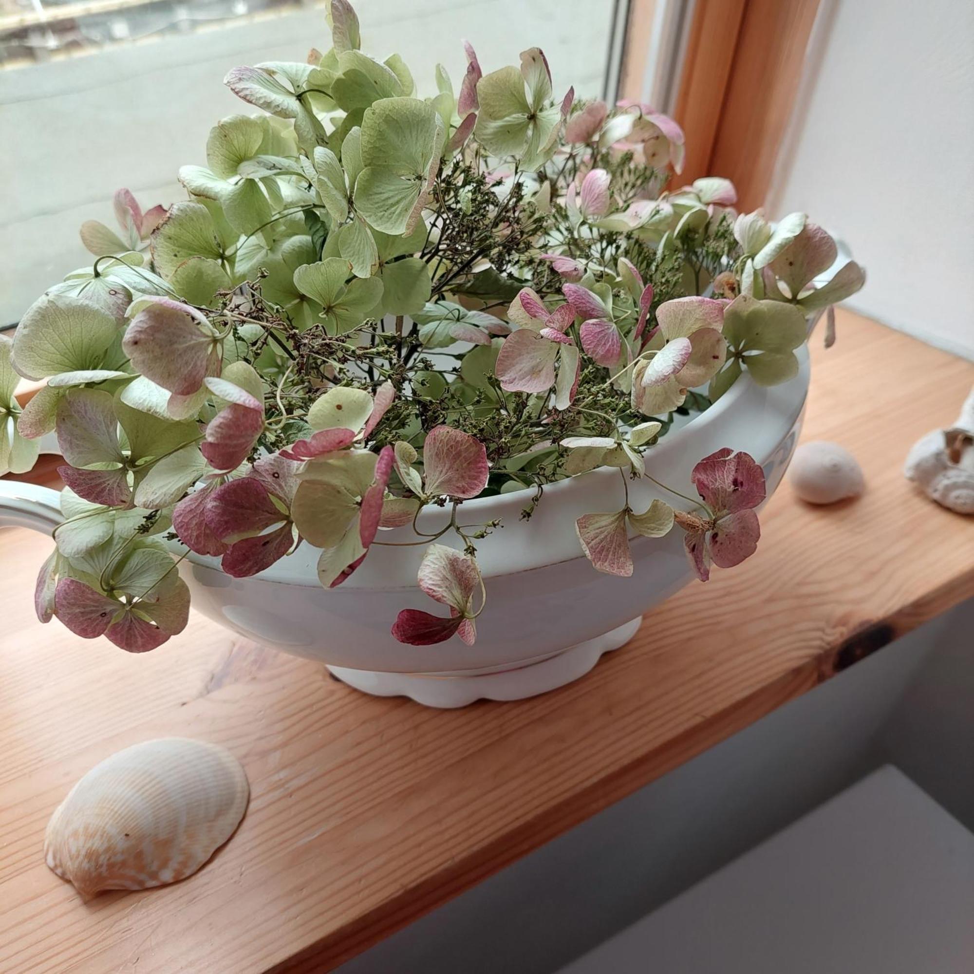 "Nordwest" Ferienwohnung Prerow Bagian luar foto